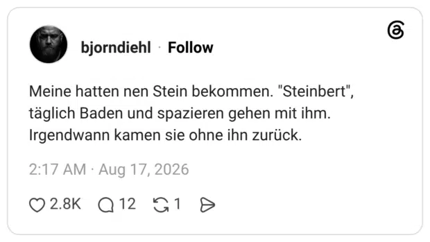 Meine hatten nen Stein bekommen. "Steinbert", täglich Baden und spazieren gehen mit ihm. Irgendwann kamen sie ohne ihn zurück.