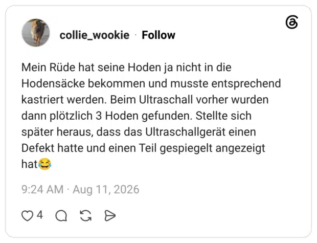 entsprechend kastriert werden. Beim Ultraschall vorher wurden dann plötzlich 3 Hoden gefunden. Stellte sich später heraus, dass das Ultraschallgerät einen Defekt hatte und einen Teil gespiegelt angezeigt hat😂