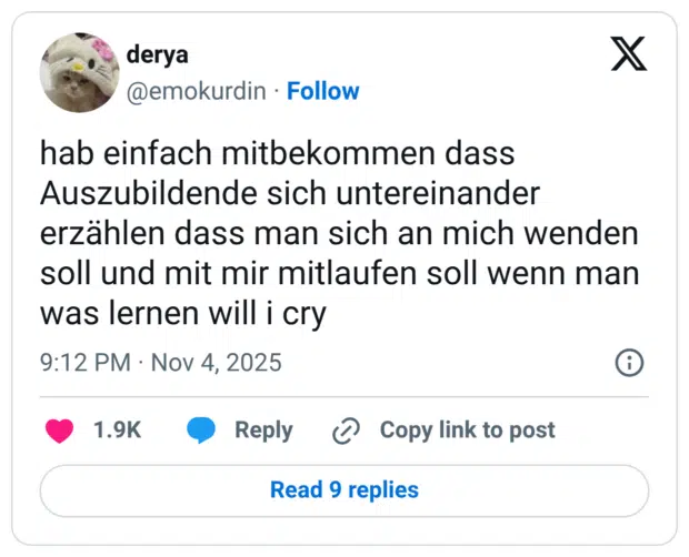 hab einfach mitbekommen dass Auszubildende sich untereinander erzählen dass man sich an mich wenden soll und mit mir mitlaufen soll wenn man was lernen will i cry