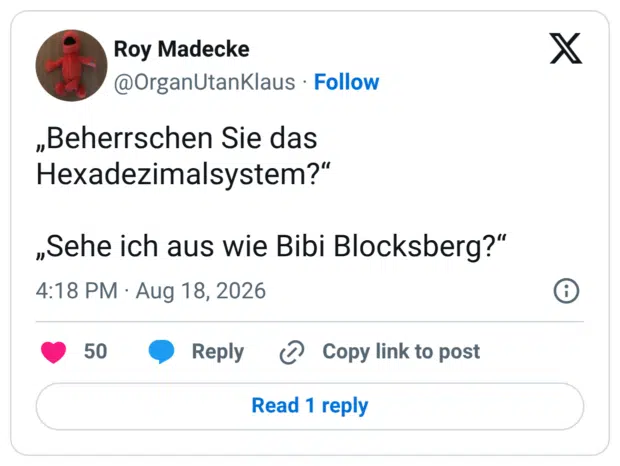 „Beherrschen Sie das Hexadezimalsystem?" „Sehe ich aus wie Bibi Blocksberg?"