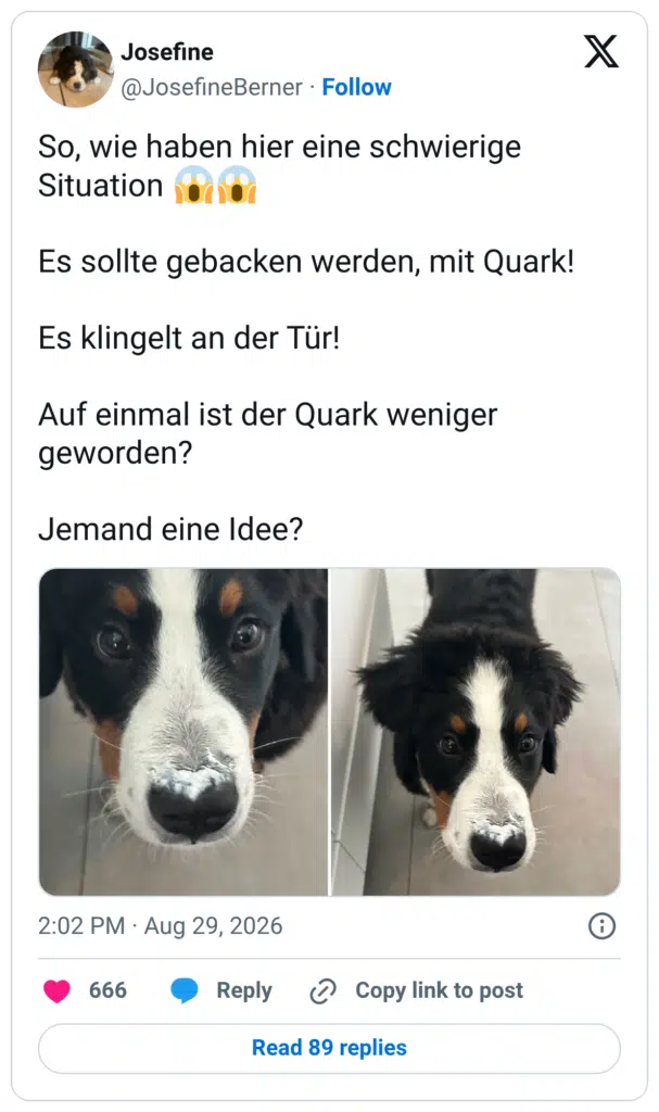 So, wie haben hier eine schwierige Situation Es sollte gebacken werden, mit Quark! Es klingelt an der Tür! Auf einmal ist der Quark weniger geworden? Jemand eine Idee?