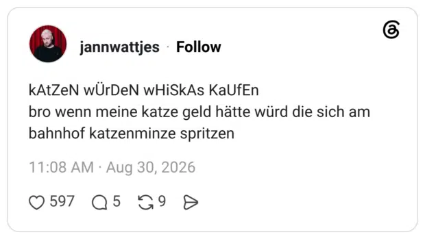 kAtZeN wÜrDeN wHiSkAs KaUfEn bro wenn meine katze geld hätte würd die sich am bahnhof katzenminze spritzen