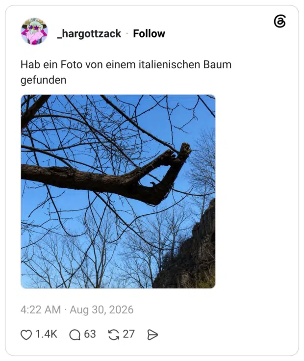 Hab ein Foto von einem italienischen Baum gefunden