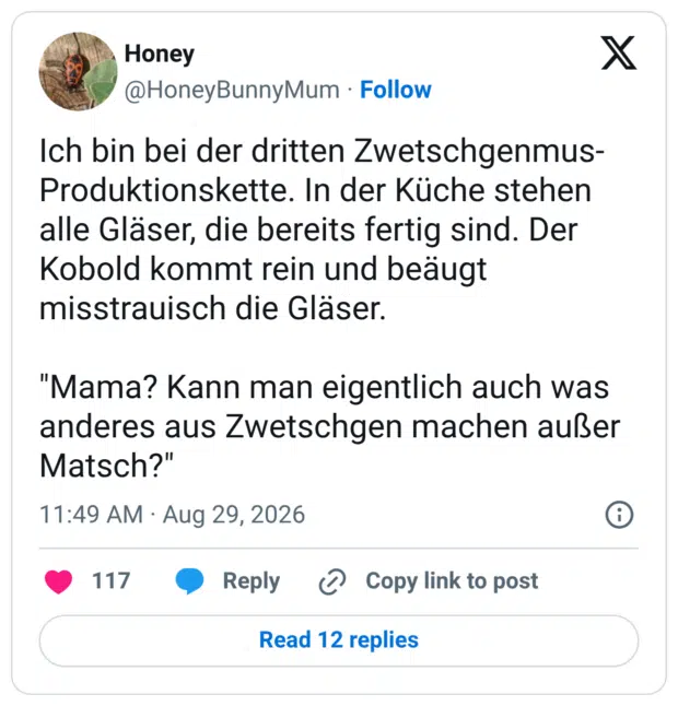 Ich bin bei der dritten Zwetschgenmus- Produktionskette. In der Küche stehen alle Gläser, die bereits fertig sind. Der Kobold kommt rein und beäugt misstrauisch die Gläser. "Mama? Kann man eigentlich auch was anderes aus Zwetschgen machen außer Matsch?"
