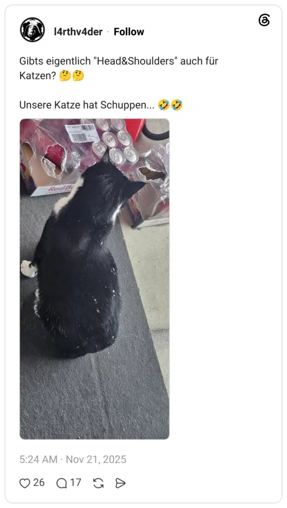 Gibts eigentlich "Head&Shoulders" auch für Katzen? 🤔🤔 Unsere Katze hat Schuppen... 🤣🤣