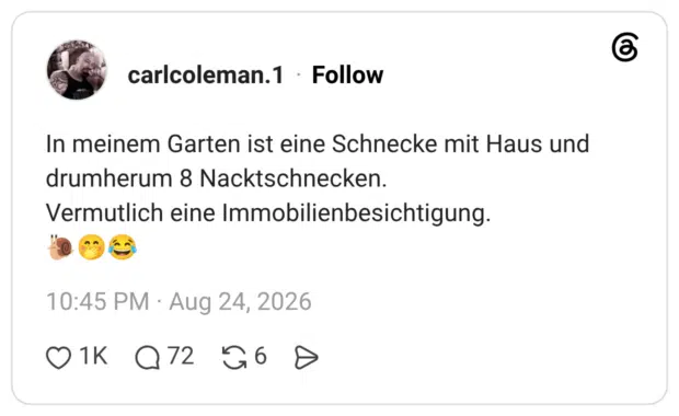 In meinem Garten ist eine Schnecke mit Haus und drumherum 8 Nacktschnecken. Vermutlich eine Immobilienbesichtigung. 🐌🤭😂