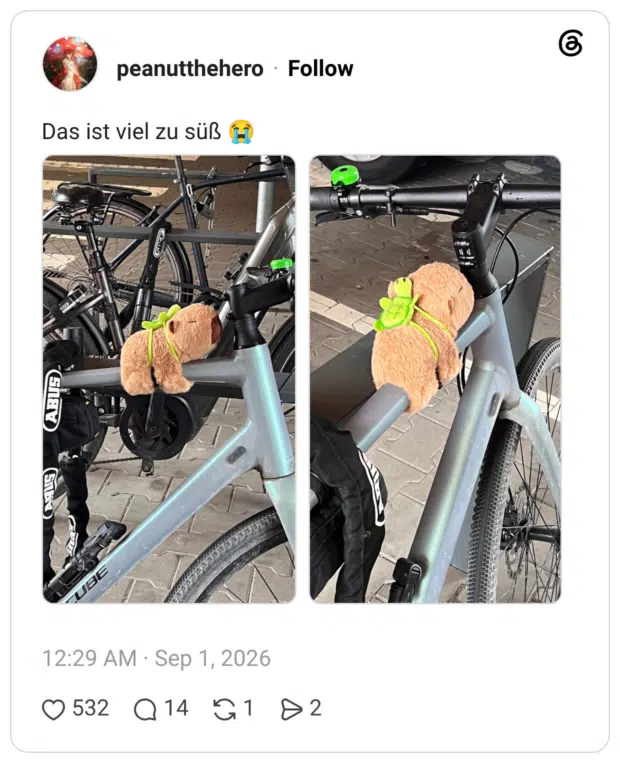 Das ist viel zu süß 😭