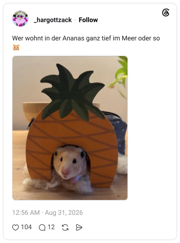 Wer wohnt in der Ananas ganz tief im Meer oder so 🐹