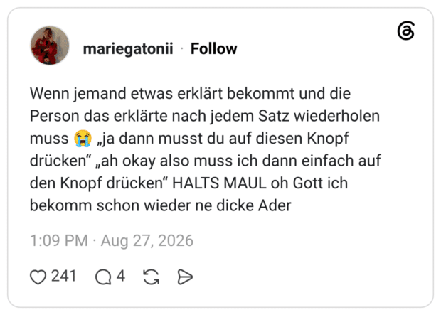 Wenn jemand etwas erklärt bekommt und die Person das erklärte nach jedem Satz wiederholen muss „ja dann musst du auf diesen Knopf drücken" „ah okay also muss ich dann einfach auf den Knopf drücken" HALTS MAUL oh Gott ich bekomm schon wieder ne dicke Ader