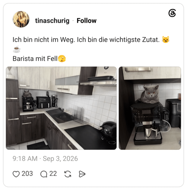 Ich bin nicht im Weg. Ich bin die wichtigste Zutat. 😼☕ Barista mit Fell🫣