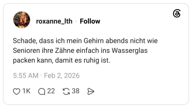 Schade, dass ich mein Gehirn abends nicht wie Senioren ihre Zähne einfach ins Wasserglas packen kann, damit es ruhig ist.