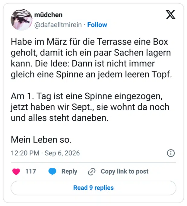 Habe im März für die Terrasse eine Box geholt, damit ich ein paar Sachen lagern kann. Die Idee: Dann ist nicht immer gleich eine Spinne an jedem leeren Topf. Am 1. Tag ist eine Spinne eingezogen, jetzt haben wir Sept., sie wohnt da noch und alles steht daneben. Mein Leben so.