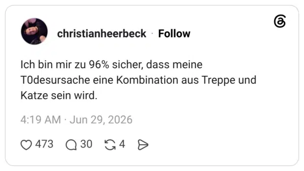 Ich bin mir zu 96% sicher, dass meine T0desursache eine Kombination aus Treppe und Katze sein wird.