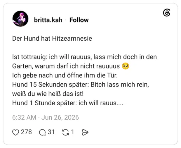 Der Hund hat Hitzeamnesie Ist tottrauig: ich will rauuus, lass mich doch in den Garten, warum darf ich nicht rauuuus 🥺 Ich gebe nach und öffne ihm die Tür. Hund 15 Sekunden später: Bitch lass mich rein, weiß du wie heiß das ist! Hund 1 Stunde später: ich will rauus....