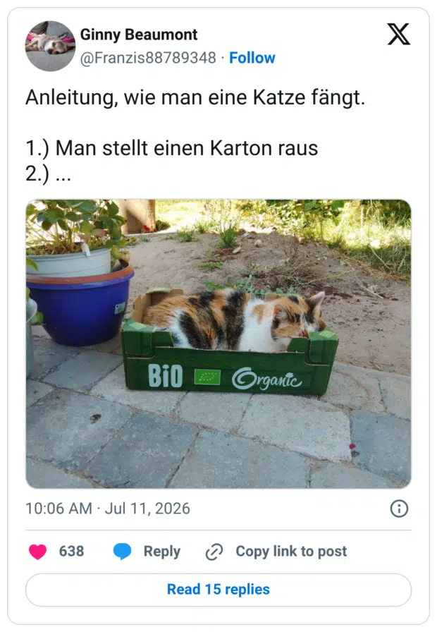 Anleitung, wie man eine Katze fängt. 1.) Man stellt einen Karton raus 2.) ...
