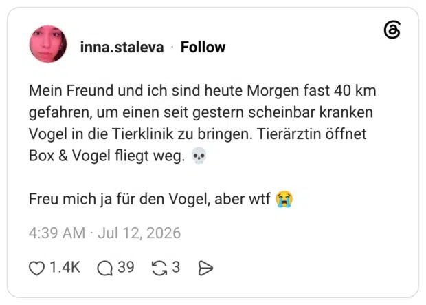 Mein Freund und ich sind heute Morgen fast 40 km gefahren, um einen seit gestern scheinbar kranken Vogel in die Tierklinik zu bringen. Tierärztin öffnet Box & Vogel fliegt weg. 💀 Freu mich ja für den Vogel, aber wtf 😭