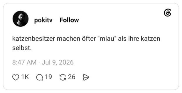 katzenbesitzer machen öfter "miau" als ihre katzen selbst.