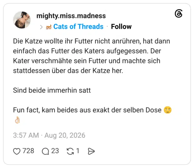 Die Katze wollte ihr Futter nicht anrühren, hat dann einfach das Futter des Katers aufgegessen. Der Kater verschmähte sein Futter und machte sich stattdessen über das der Katze her. Sind beide immerhin satt Fun fact, kam beides aus exakt der selben Dose 🫩👌🏻
