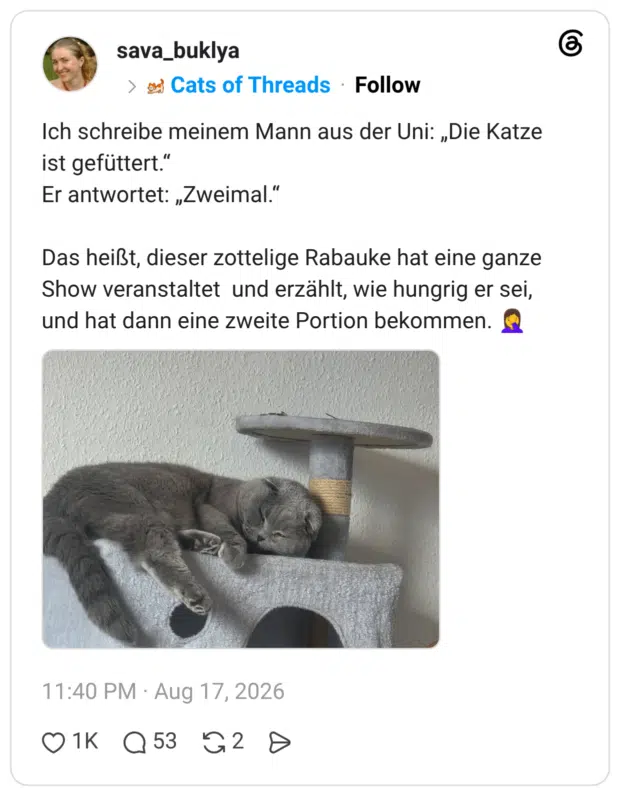 Ich schreibe meinem Mann aus der Uni: „Die Katze ist gefüttert.“ Er antwortet: „Zweimal.“ Das heißt, dieser zottelige Rabauke hat eine ganze Show veranstaltet und erzählt, wie hungrig er sei, und hat dann eine zweite Portion bekommen. 🤦‍♀️