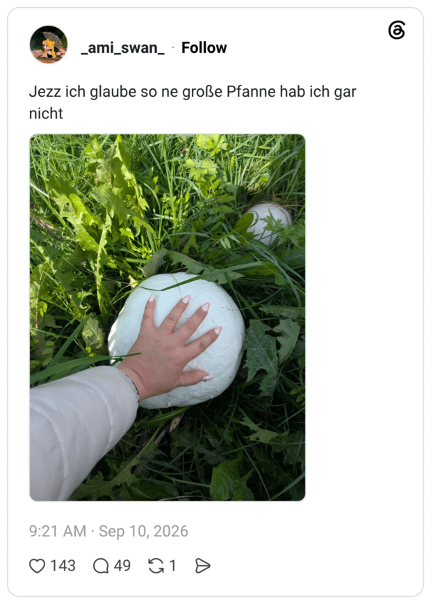 Jezz ich glaube so ne große Pfanne hab ich gar nicht