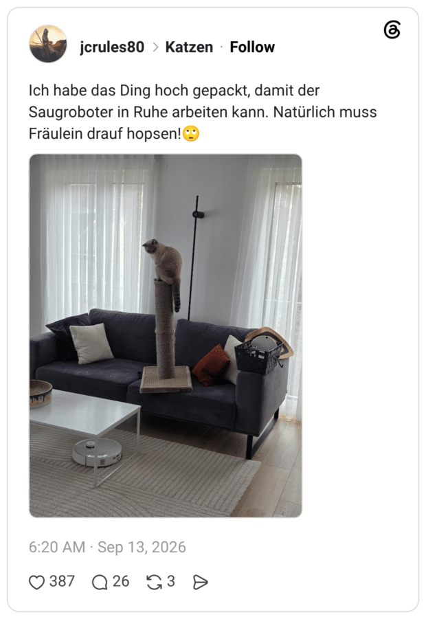Ich habe das Ding hoch gepackt, damit der Saugroboter in Ruhe arbeiten kann. Natürlich muss Fräulein drauf hopsen!🙄