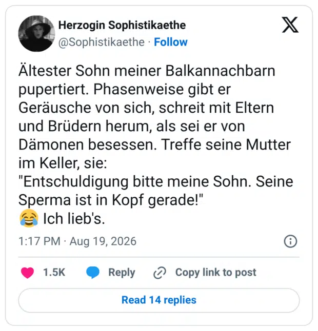 Ältester Sohn meiner Balkannachbarn pupertiert. Phasenweise gibt er Geräusche von sich, schreit mit Eltern und Brüdern herum, als sei er von Dämonen besessen. Treffe seine Mutter im Keller, sie: "Entschuldigung bitte meine Sohn. Seine Sperma ist in Kopf gerade!" és Ich lieb's.