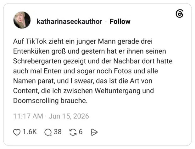 Auf TikTok zieht ein junger Mann gerade drei Entenküken groß und gestern hat er ihnen seinen Schrebergarten gezeigt und der Nachbar dort hatte auch mal Enten und sogar noch Fotos und alle Namen parat, und I swear, das ist die Art von Content, die ich zwischen Weltuntergang und Doomscrolling brauche