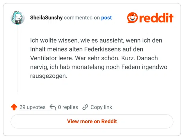 Ich wollte wissen, wie es aussieht, wenn ich den Inhalt meines alten Federkissens auf den Ventilator leere. War sehr schön. Kurz. Danach nervig, ich hab monatelang noch Federn irgendwo rausgezogen.