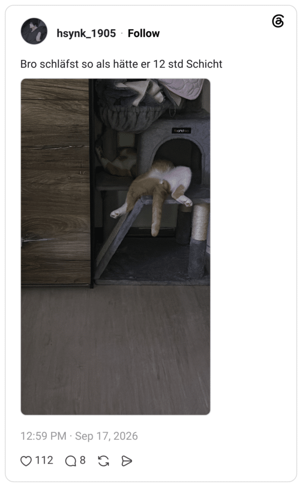 Bro schläfst so als hätte er 12 std Schicht