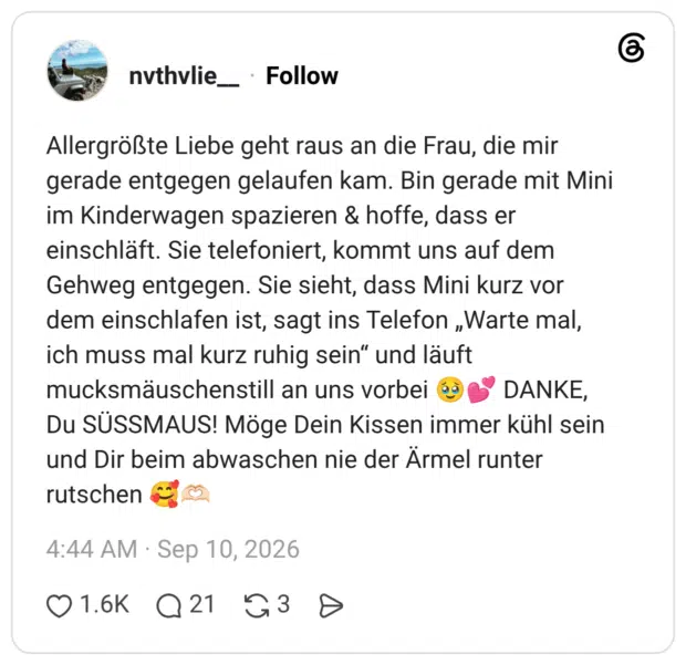 Allergrößte Liebe geht raus an die Frau, die mir gerade entgegen gelaufen kam. Bin gerade mit Mini im Kinderwagen spazieren & hoffe, dass er einschläft. Sie telefoniert, kommt uns auf dem Gehweg entgegen. Sie sieht, dass Mini kurz vor dem einschlafen ist, sagt ins Telefon „Warte mal, ich muss mal kurz ruhig sein“ und läuft mucksmäuschenstill an uns vorbei 🥹💕 DANKE, Du SÜSSMAUS! Möge Dein Kissen immer kühl sein und Dir beim abwaschen nie der Ärmel runter rutschen 🥰🫶🏻