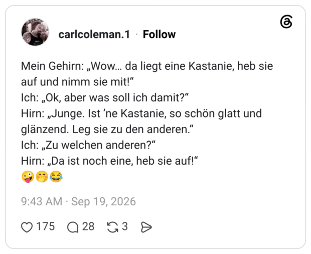 Mein Gehirn: „Wow... da liegt eine Kastanie, heb sie auf und nimm sie mit!" Ich: „Ok, aber was soll ich damit?" Hirn: „Junge. Ist 'ne Kastanie, so schön glatt und glänzend. Leg sie zu den anderen." Ich: „Zu welchen anderen?" Hirn: „Da ist noch eine, heb sie auf!"