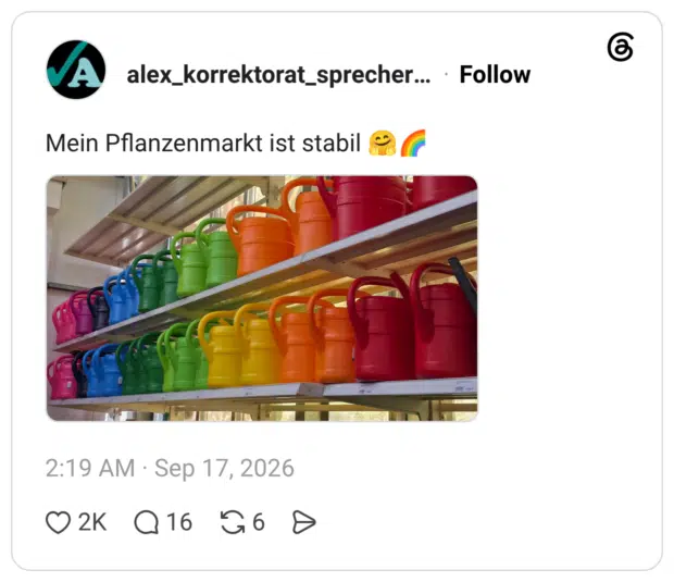 Mein Pflanzenmarkt ist stabil 🤗🌈