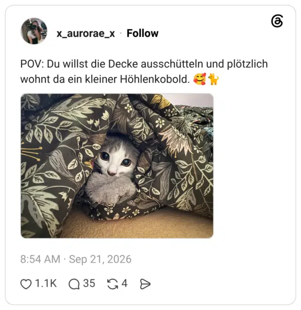 POV: Du willst die Decke ausschütteln und plötzlich wohnt da ein kleiner Höhlenkobold. 🥰🐈