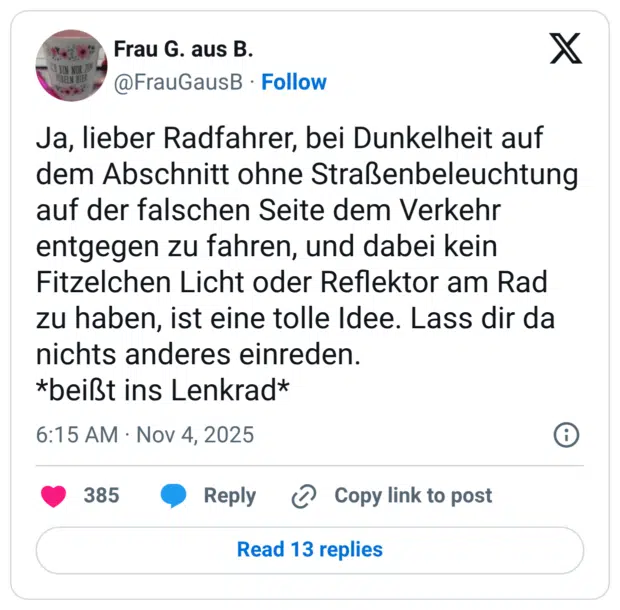 Ja, lieber Radfahrer, bei Dunkelheit auf dem Abschnitt ohne Straßenbeleuchtung auf der falschen Seite dem Verkehr entgegen zu fahren, und dabei kein Fitzelchen Licht oder Reflektor am Rad zu haben, ist eine tolle Idee. Lass dir da nichts anderes einreden.