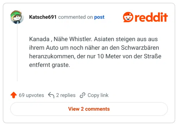 Kanada , Nähe Whistler. Asiaten steigen aus aus ihrem Auto um noch näher an den Schwarzbären heranzukommen, der nur 10 Meter von der Straße entfernt graste.