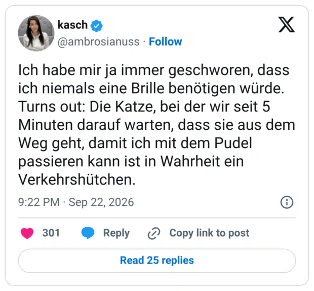 Ich habe mir ja immer geschworen, dass ich niemals eine Brille benötigen würde. Turns out: Die Katze, bei der wir seit 5 Minuten darauf warten, dass sie aus dem Weg geht, damit ich mit dem Pudel passieren kann ist in Wahrheit ein Verkehrshütchen.