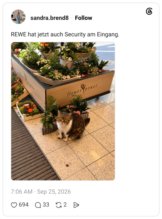 REWE hat jetzt auch Security am Eingang.