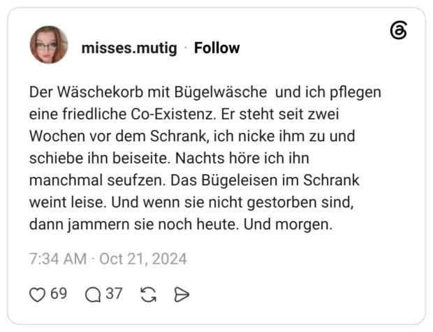 Der Wäschekorb mit Bügelwäsche und ich pflegen eine friedliche Co-Existenz. Er steht seit zwei Wochen vor dem Schrank, ich nicke ihm zu und schiebe ihn beiseite. Nachts höre ich ihn manchmal seufzen. Das Bügeleisen im Schrank weint leise. Und wenn sie nicht gestorben sind, dann jammern sie noch heute. Und morgen.