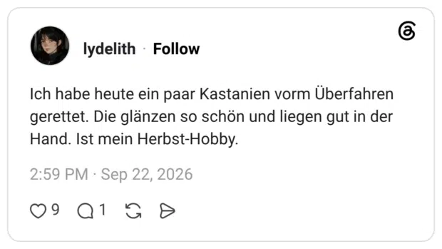 Ich habe heute ein paar Kastanien vorm Überfahren gerettet. Die glänzen so schön und liegen gut in der Hand. Ist mein Herbst-Hobby.