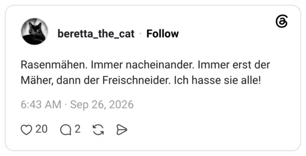 Rasenmähen. Immer nacheinander. Immer erst der Mäher, dann der Freischneider. Ich hasse sie alle!