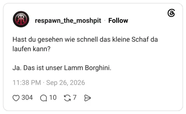 Hast du gesehen wie schnell das kleine Schaf da laufen kann? Ja. Das ist unser Lamm Borghini.