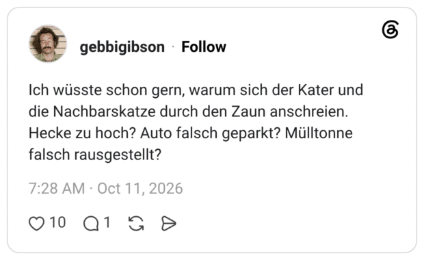Ich wüsste schon gern, warum sich der Kater und die Nachbarskatze durch den Zaun anschreien. Hecke zu hoch? Auto falsch geparkt? Mülltonne falsch rausgestellt?