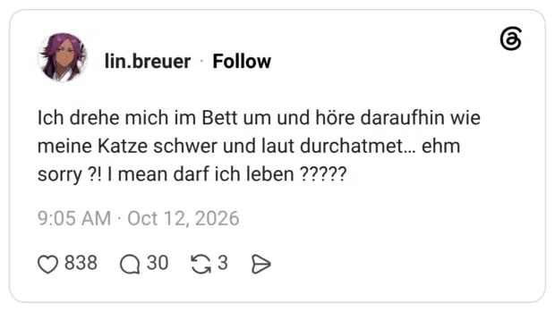 Ich drehe mich im Bett um und höre daraufhin wie meine Katze schwer und laut durchatmet... ehm sorry ?! I mean darf ich leben ?????