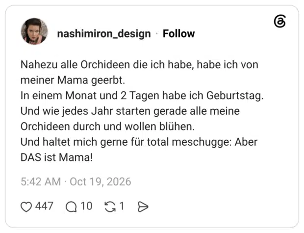 Nahezu alle Orchideen die ich habe, habe ich von meiner Mama geerbt. In einem Monat und 2 Tagen habe ich Geburtstag. Und wie jedes Jahr starten gerade alle meine Orchideen durch und wollen blühen. Und haltet mich gerne für total meschugge: Aber DAS ist Mama!