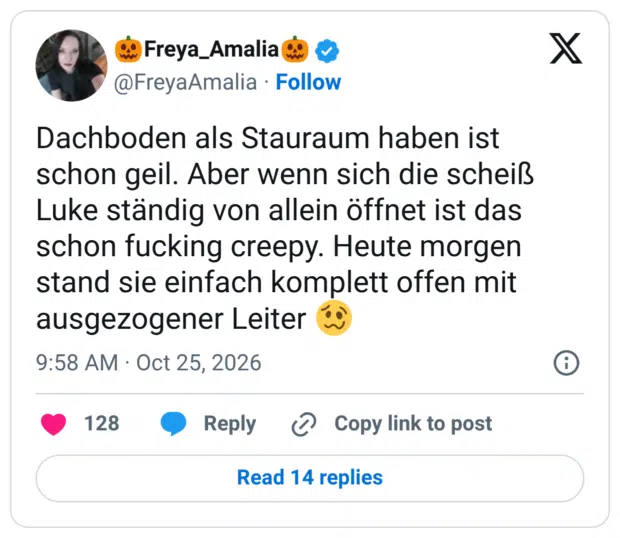 Dachboden als Stauraum haben ist schon geil. Aber wenn sich die scheiß Luke ständig von allein öffnet ist das schon fucking creepy. Heute morgen stand sie einfach komplett offen mit ausgezogener Leiter