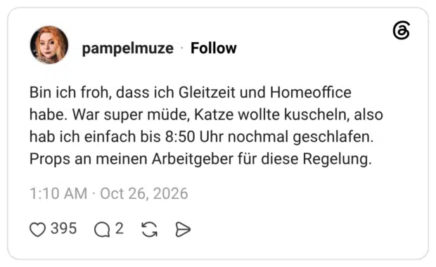 Bin ich froh, dass ich Gleitzeit und Homeoffice habe. War super müde, Katze wollte kuscheln, also hab ich einfach bis 8:50 Uhr nochmal geschlafen. Props an meinen Arbeitgeber für diese Regelung.