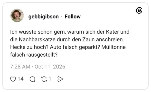 Ich wüsste schon gern, warum sich der Kater und die Nachbarskatze durch den Zaun anschreien. Hecke zu hoch? Auto falsch geparkt? Mülltonne falsch rausgestellt?