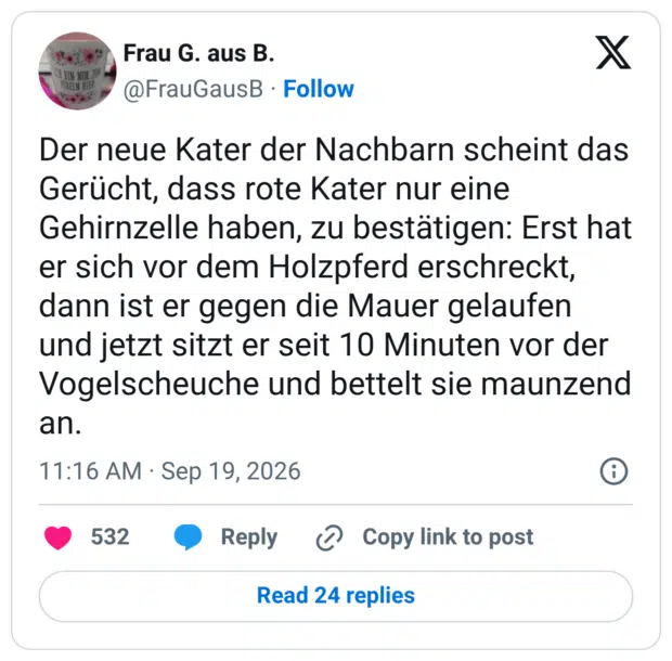 AH BIN NUR ZON KOBELN HIER Der neue Kater der Nachbarn scheint das Gerücht, dass rote Kater nur eine Gehirnzelle haben, zu bestätigen: Erst hat er sich vor dem Holzpferd erschreckt, dann ist er gegen die Mauer gelaufen und jetzt sitzt er seit 10 Minuten vor der Vogelscheuche und bettelt sie maunzend an