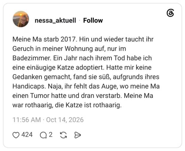 Meine Ma starb 2017. Hin und wieder taucht ihr Geruch in meiner Wohnung auf, nur im Badezimmer. Ein Jahr nach ihrem Tod habe ich eine einäugige Katze adoptiert. Hatte mir keine Gedanken gemacht, fand sie süß, aufgrunds ihres Handicaps. Naja, ihr fehlt das Auge, wo meine Ma einen Tumor hatte und dran verstarb. Meine Ma war rothaarig, die Katze ist rothaarig.
