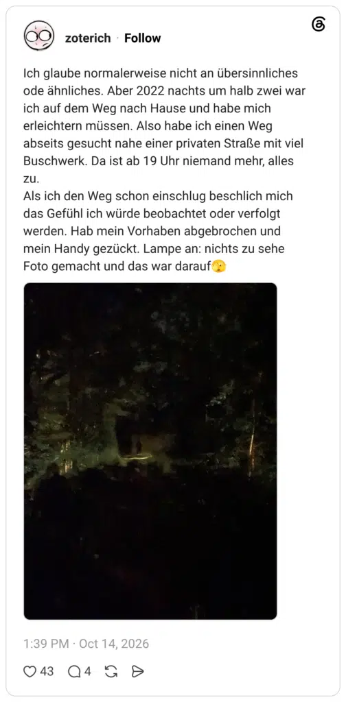 Ich glaube normalerweise nicht an übersinnliches ode ähnliches. Aber 2022 nachts um halb zwei war ich auf dem Weg nach Hause und habe mich erleichtern müssen. Also habe ich einen Weg abseits gesucht nahe einer privaten Straße mit viel Buschwerk. Da ist ab 19 Uhr niemand mehr, alles zu. Als ich den Weg schon einschlug beschlich mich das Gefühl ich würde beobachtet oder verfolgt werden. Hab mein Vorhaben abgebrochen und mein Handy gezückt. Lampe an: nichts zu sehe Foto gemacht und das war darauf